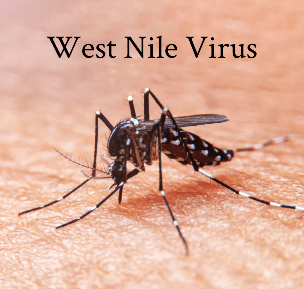 West nile virus