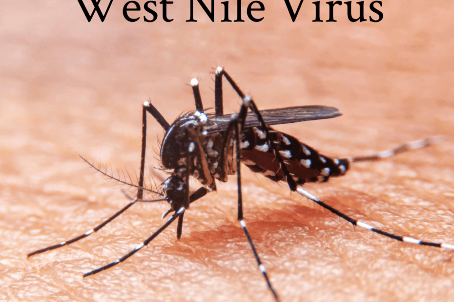 West nile virus