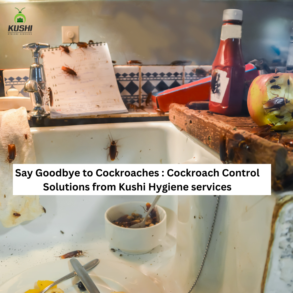 Say Goodbye to Cockroaches: Cockroach Control Solutions from Kushi Hygiene services