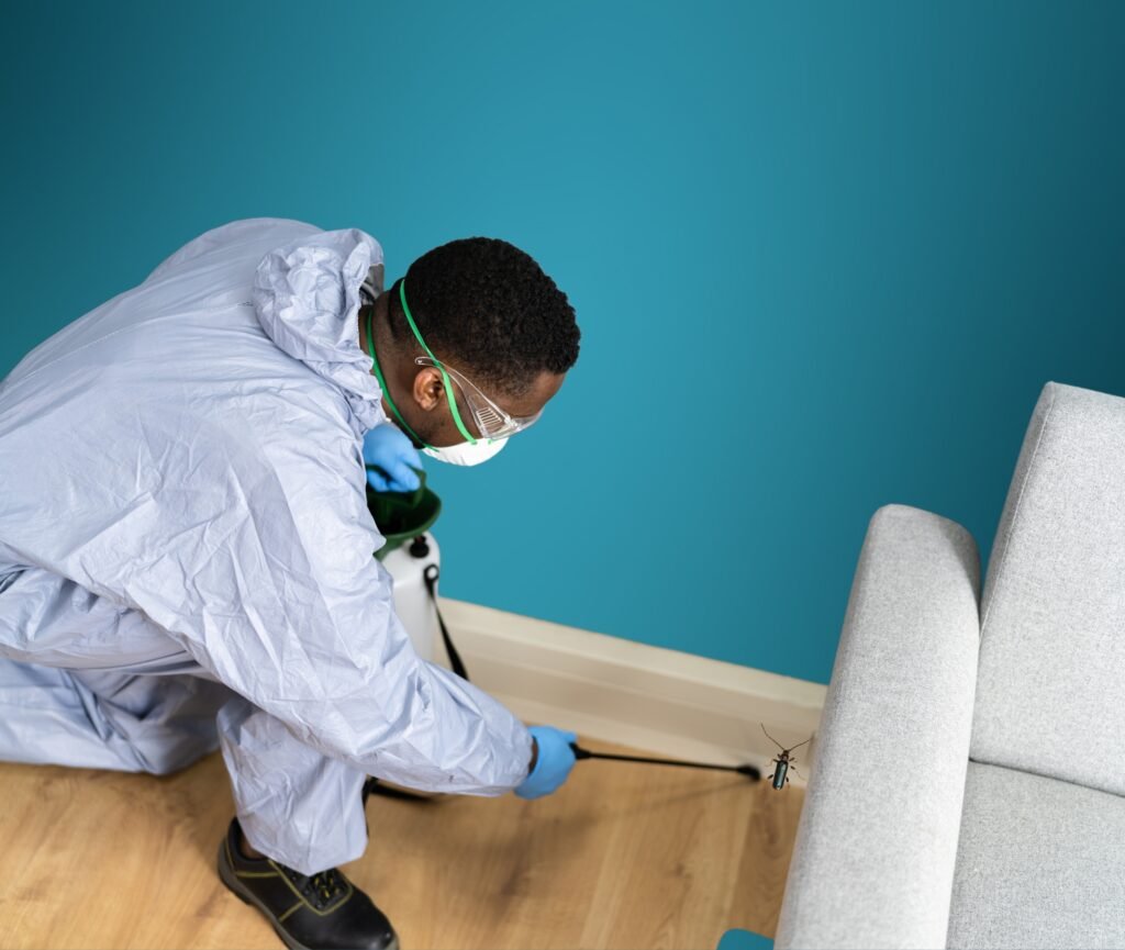 Kushi Hygiene Services Untitled 200 x 200 px 500 x 500 px 315 x 210 px 45 e1746432032226