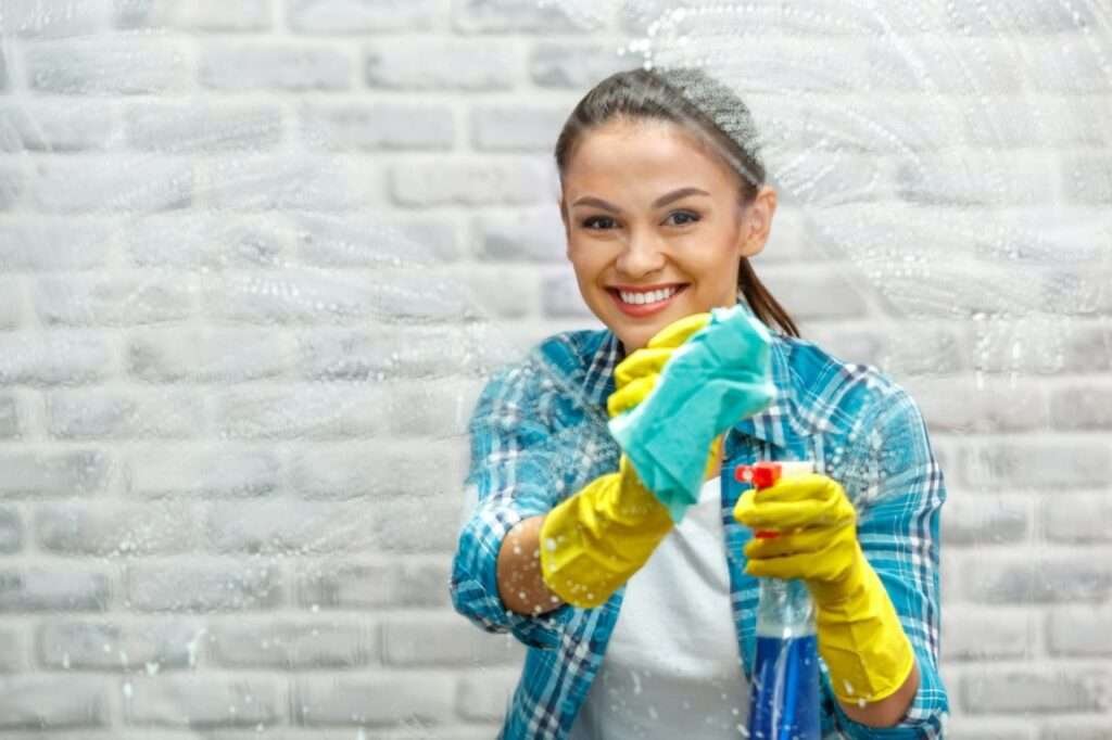 Kushi Hygiene Services concept for home cleaning services