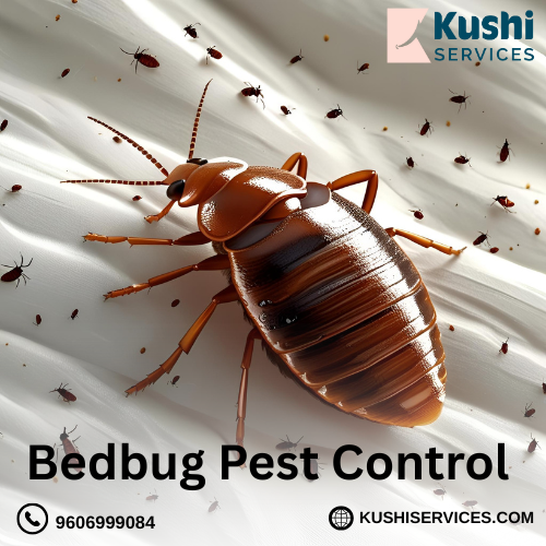 Bedbug Pest Control Services