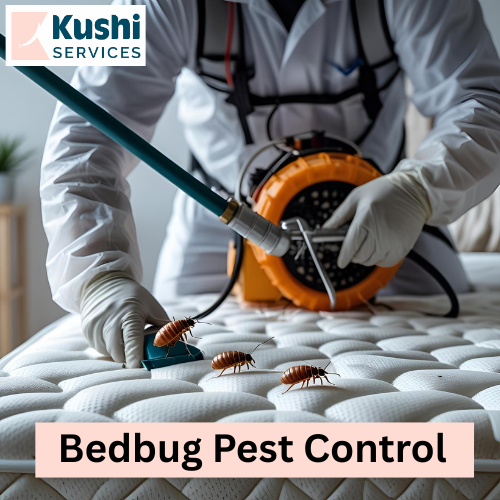 Bedbug Pest Control in bangalore
