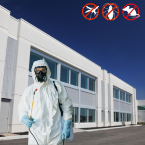 Commercial Pest Control Services