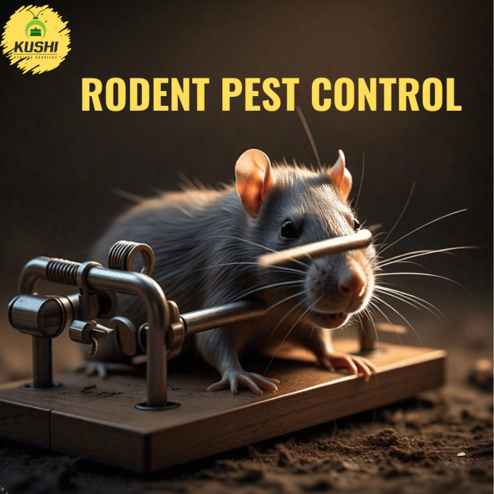 Rodent pest control